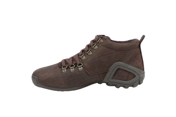 Woodland 1869115 2025