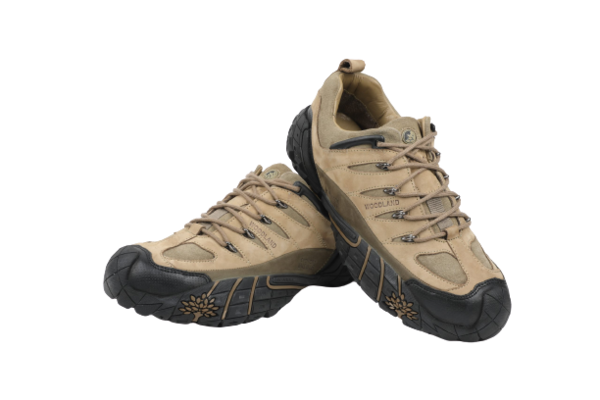 Woodland 2025 gc 2336116